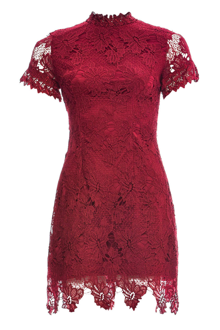 Wine High Neck  Lace   Dress - Swimclubus